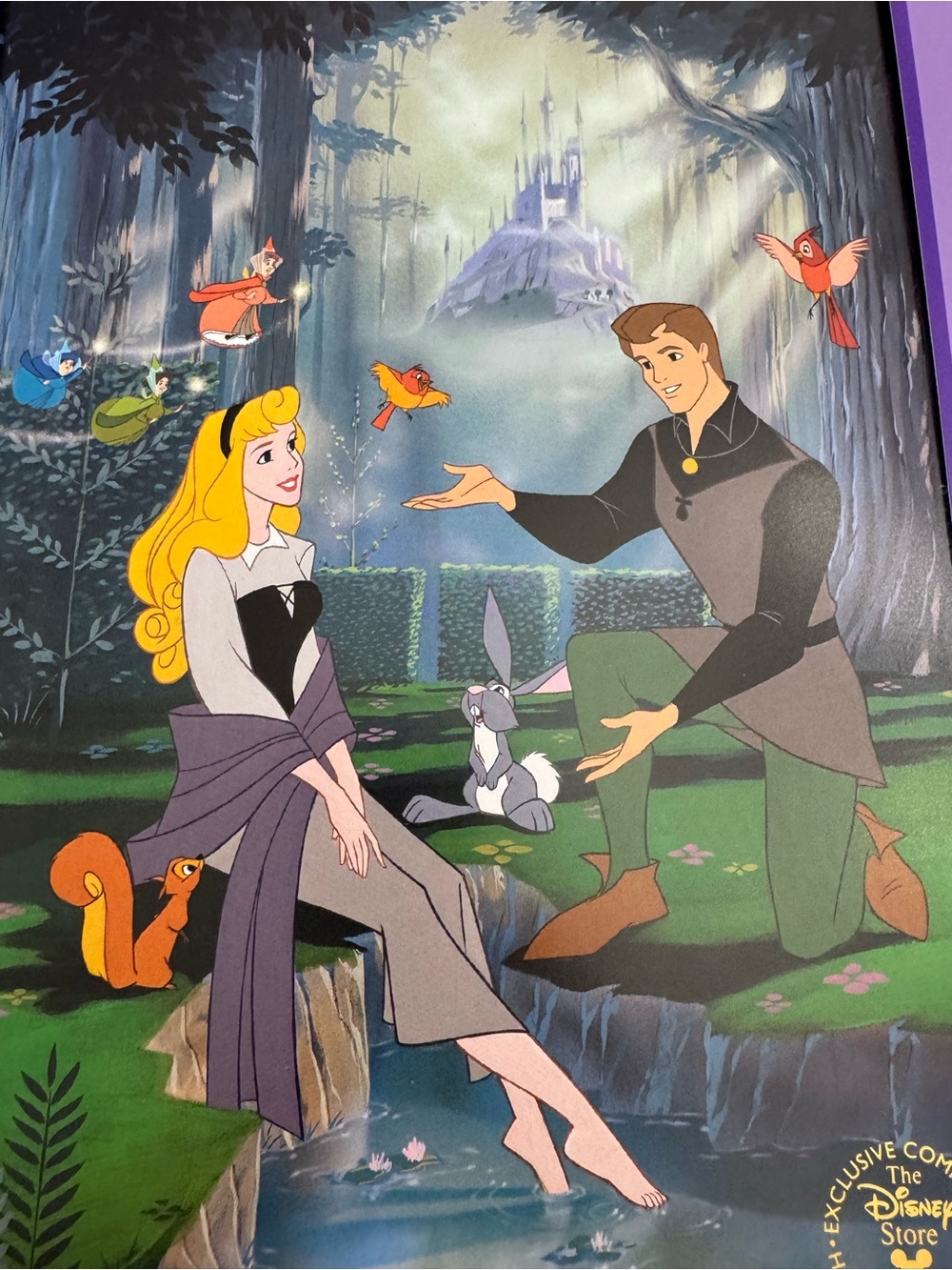 Vintage The Disney Store Sleeping Beauty 11”x 14” Commemorative Lithograph - Picture 2 of 4